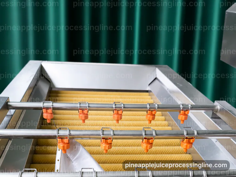 Industrial Pineapple Juice Processing Line: Process Scope And Configuration Interface industrial pineapple juice processing line, process scope and configuration: pressing with coarse fiber separation section connection view